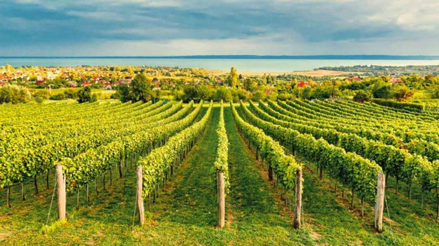Silver Delux Apartman Balatonfüred Exteriér fotografie